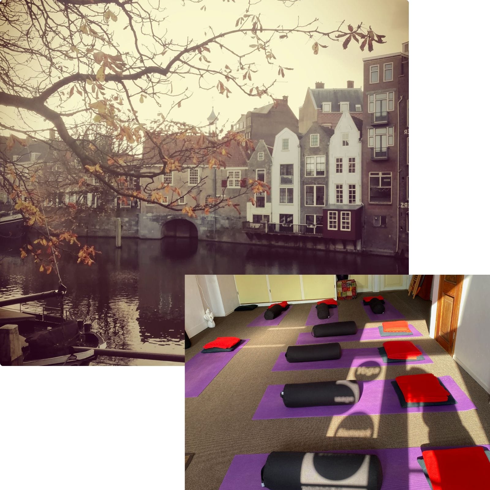 HEEL Insituut Yoga & Lichaamswerk HEEL instituut Rotterdam