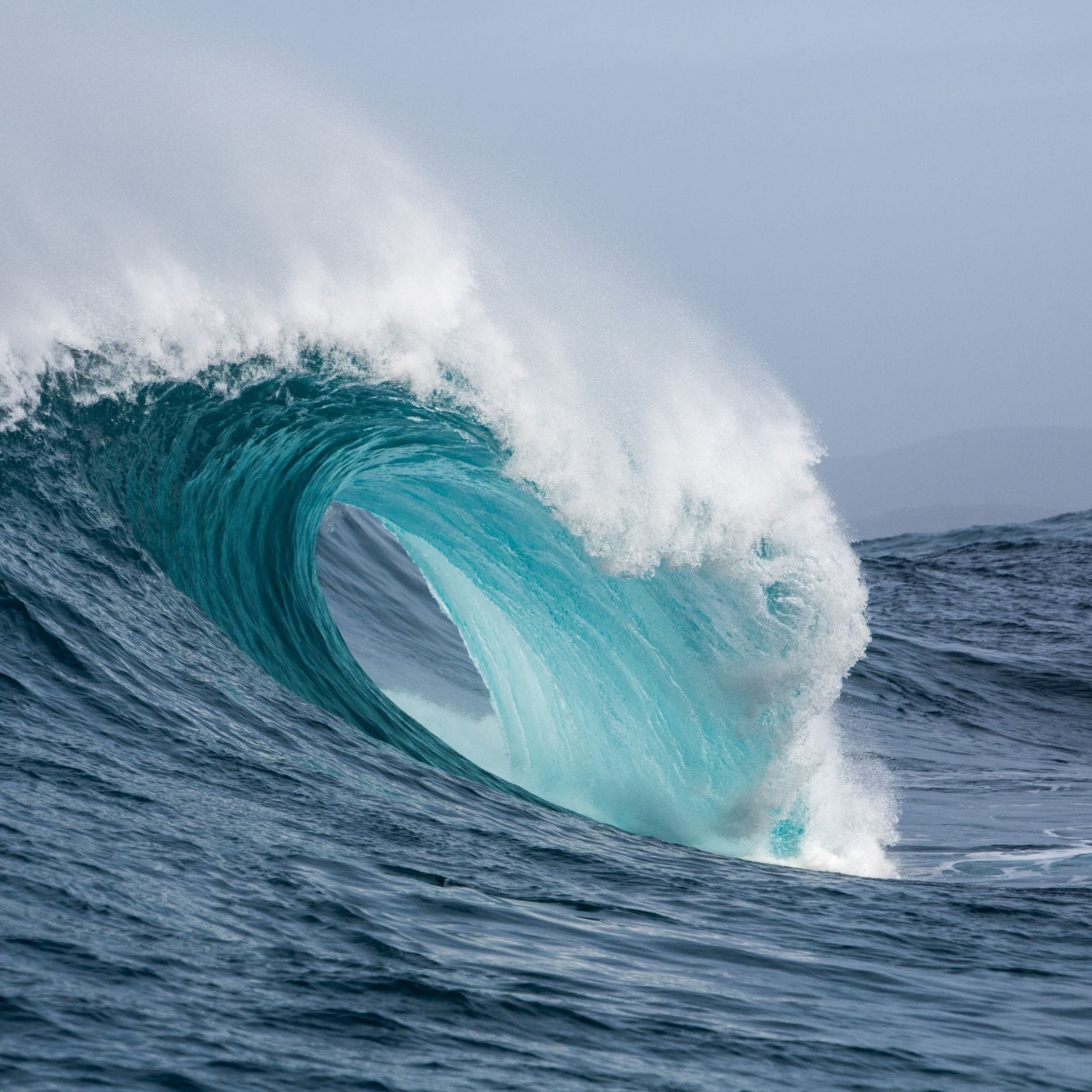 Connie van Dam - yoga HEEL instituut Rotterdam